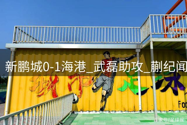 新鹏城0-1海港 武磊助攻 蒯纪闻中超处子球 海港近5轮4胜1平
