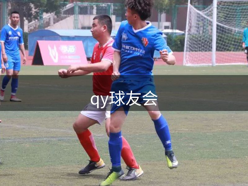 公司核心优势